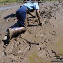 DungeonMasterOne: Langstonedale: Honeysuckle and Maude in skirt uniform mud fun!