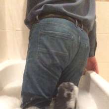 wetmart2240: Wet Socks