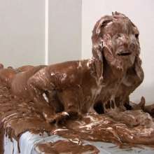 Messygirl: 