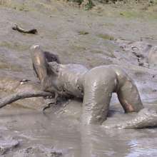 FOXY: white swimsuit in mud