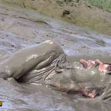 FOXY: white swimsuit in mud