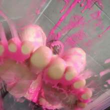 PennyBanks: Penny covered in paint and pink slime in lingerie and topless!