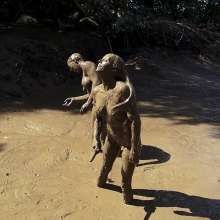 Jayce: The Mud Pudding 2 w/ Ariel Aiding Me and My Toy to Orgasm!  yowza!