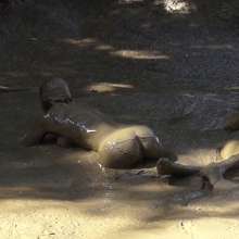 Jayce: The Mud Pudding 2 w/ Ariel Aiding Me and My Toy to Orgasm!  yowza!