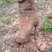 ThighBootsinMud: 