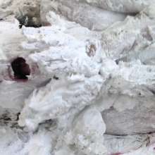 PieGuy99: Pictures from new video of sexy and messy Amilia!