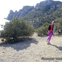 Tarzan: WetlookAdventure--2 New Update in Membership