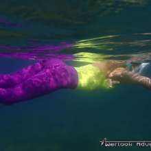 Tarzan: WetlookAdventure--2 New Update in Membership