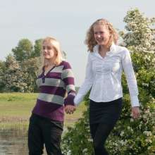 Twidget: 