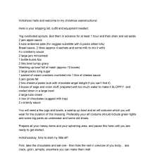 CandyCustard: Ivy's Christmas Wamstructions