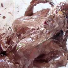 Messygirl: A New MG Download: Megan Jones Becomes a Messygirl