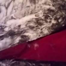 MadelineOasis: Oasis Video- Sensually Covering a Suit in Shaving Cream