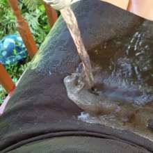 MadelineOasis: Oasis Video--Soaking a Favorite Skirt, Silk Blouse