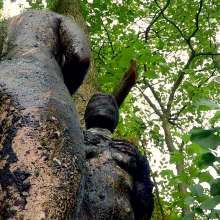 Pure Paint: Suma in Forest Mud Bondage