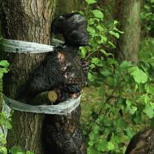 Pure Paint: Suma in Forest Mud Bondage