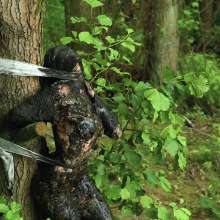 Pure Paint: Suma in Forest Mud Bondage