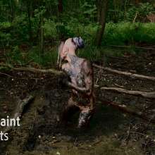 Pure Paint: Suma in Forest Mud Bondage