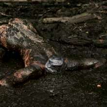 Pure Paint: Suma in Forest Mud Bondage