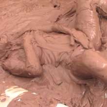 Messygirl: The Muddy Realtor