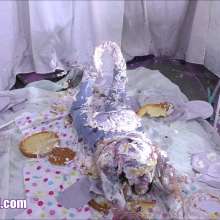 CandyCustard: Amy's Pie Challenge