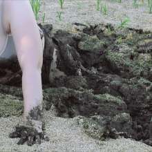 QS4Ever: Exploring Dry Pond