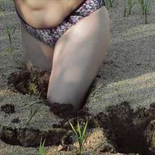 QS4Ever: Exploring Dry Pond
