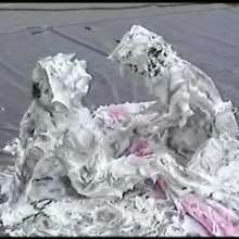wamtec: Foam Bed--Lana Cox and Teresa-May