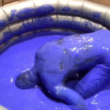 Gungeandlycraboy: Matt's Gunge Pool
