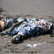 wamgame1: Mike Gets Muddy and Foamy