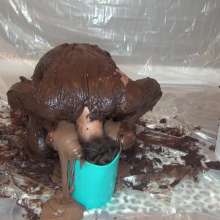 Jayce: Naomi Full Coverage Icing and Pops Head Dunking Cherry