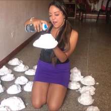 RevSlymsford: Rosy's Non-Stop Pie Barrage Obliteration: Covered in 45 Pies
