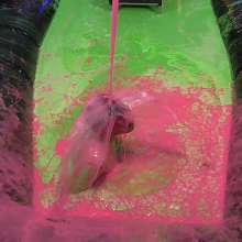 LiquidX: The Plunga!  Messyworld Producer Dunked by Janey and Michaela