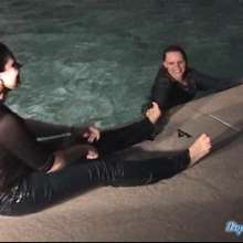 wamtec: Wet Jeans Girls--Steffi--Dimone--Danielle