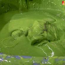 WamtasticUK: 4 Guys in Suits Gunge Dunk Tank Game