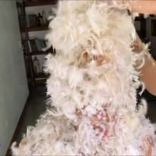 RevSlymsford: Enf Wam: More Messy Humiliation For Luna And Kimmi