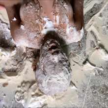 RevSlymsford: Enf Wam: More Messy Humiliation For Luna And Kimmi