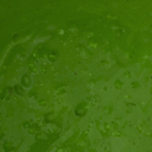 Slimed Models: Gabriela Gets the Slimed Models Treatment
