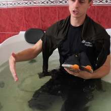 Wet Live Team: This Guy Is Totally Relaxed!  Wet Sexy Torso in a Tight Tee