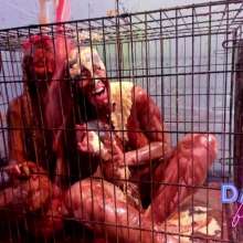 Darla DeVour: Two Bad Messy Kitties Get Punished in Their Cage