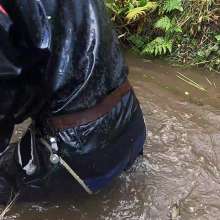 WetandMuddy: Video 80--Bobbing for Apples