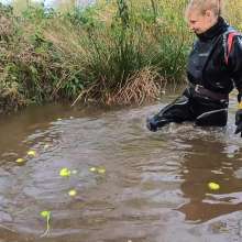 WetandMuddy: Video 80--Bobbing for Apples