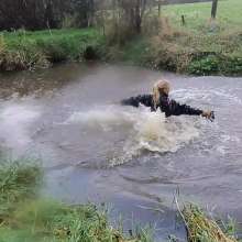 WetandMuddy: Video 80--Bobbing for Apples