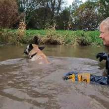 WetandMuddy: Video 80--Bobbing for Apples