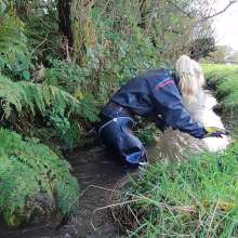 WetandMuddy: Video 80--Bobbing for Apples