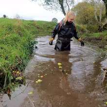 WetandMuddy: Video 80--Bobbing for Apples