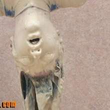 FOXY: video suspended above a mud tank