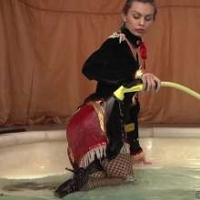 wamtec: Wetlook Cosplay--Ringmaster 2