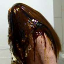 messycharlotte: Very sticky session