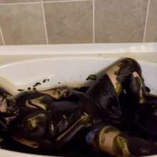 Chloe of PieroProductions: Chloe Is... Mudlarking
