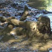 Jayce: Deepest Mud-filling-ripping-hitachi+pov BJ and Caught!